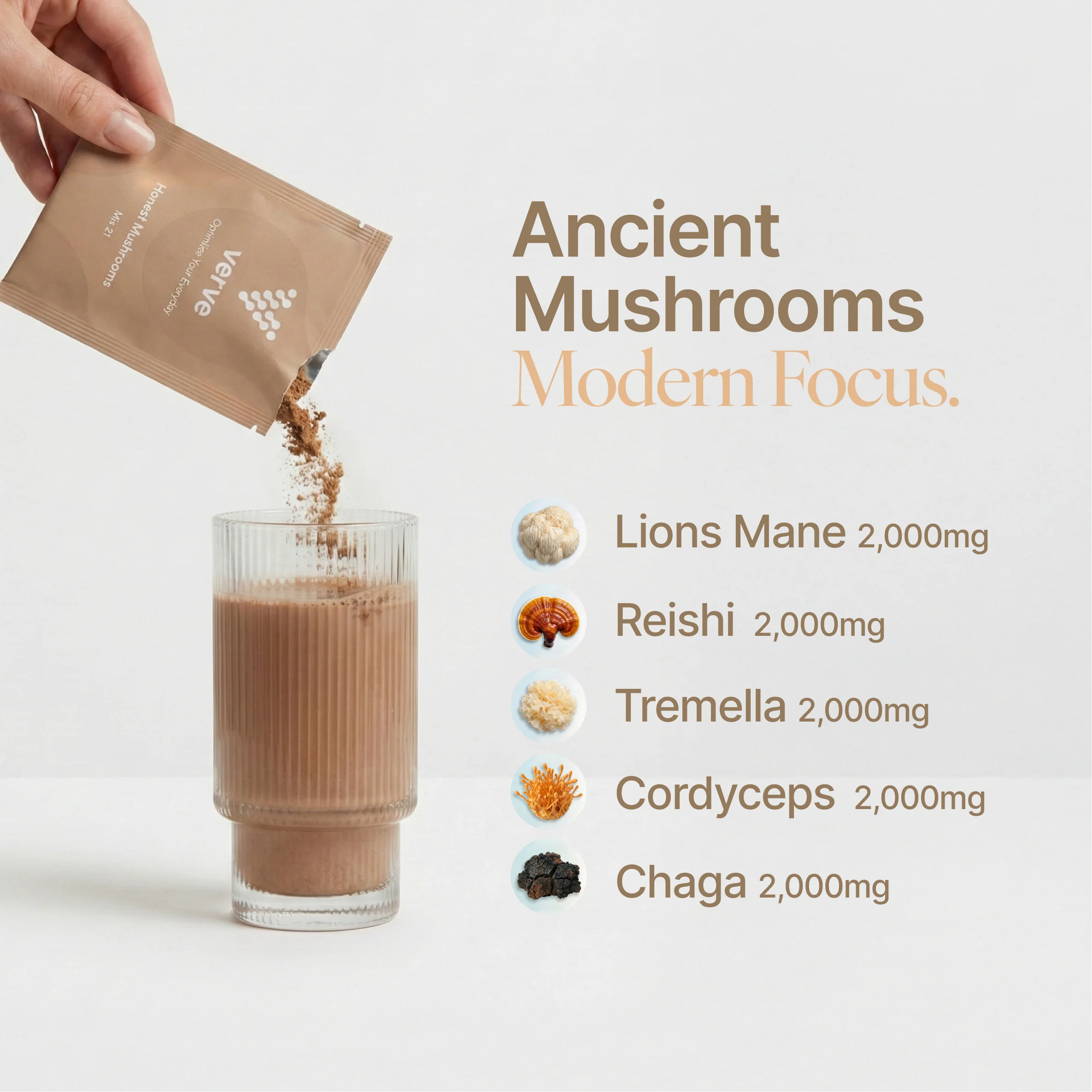 Honest Mushrooms Powder - Image 4